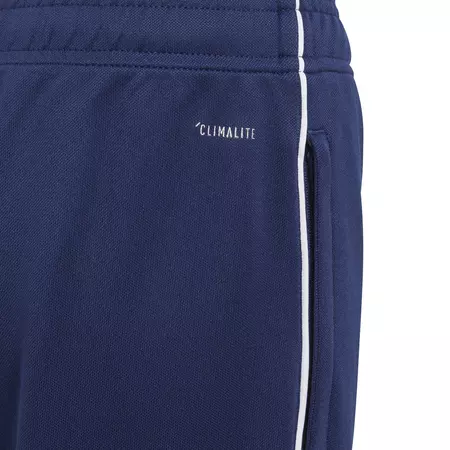 Adidas Junior Core 18 Training Pants