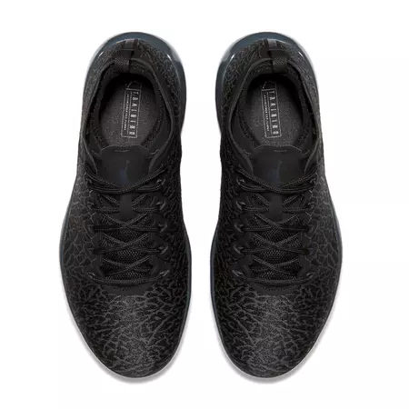 Air Jordan Trainer 1 Low "Night Jimmy Butler" (002/black/black)
