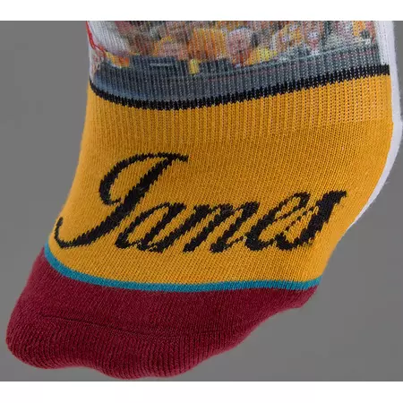 Stance NBA Future Legends King James socks