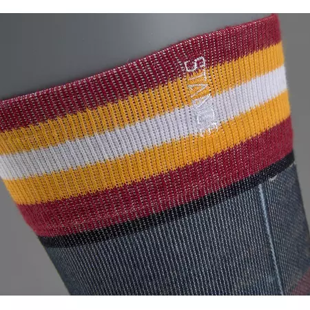 Stance NBA Future Legends King James socks