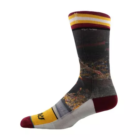 Stance NBA Future Legends King James socks