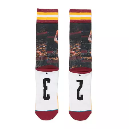 Stance NBA Future Legends King James socks