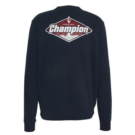 Champion Basketball Graphic Crewneck Sweatshirt "Texas"