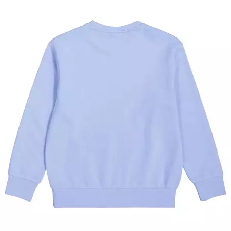 Champion Kids Basketball Flame Logo Crewneck Sweatshirt "Light blue"