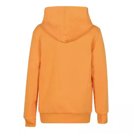 Champion Kids American Classic Fleece Hoodie "Yellow"