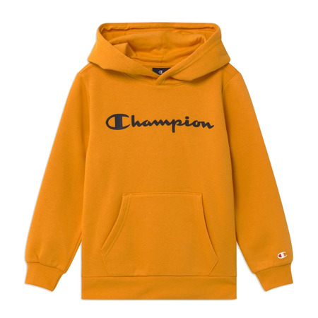 Champion Kids Authentic Classic Big Logo Hoodie