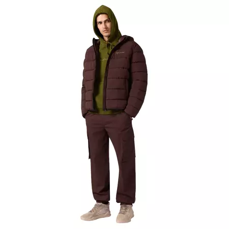 Champion Men’s Fleece Hoodie With Big Embroidered Logo Icons "Green"