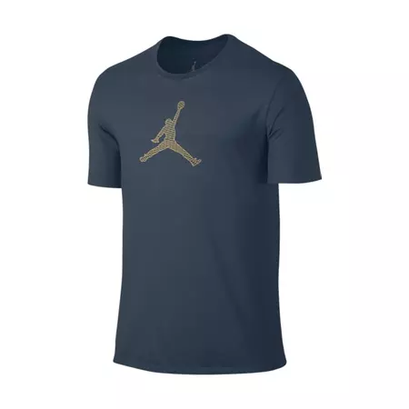 Jordan Camiseta Engineered For Flight (464/squadron blue/wolf grey/metallic gold)