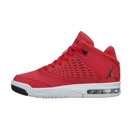 Jordan Flight Origin 4 (GS) "Roibo" (600)