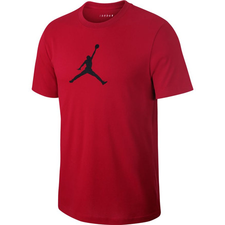 Jordan Iconic 23/7 Training T-Shirt