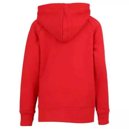 Jordan Kids Jumpman Logo Pullover Hoodie "Gym Red"