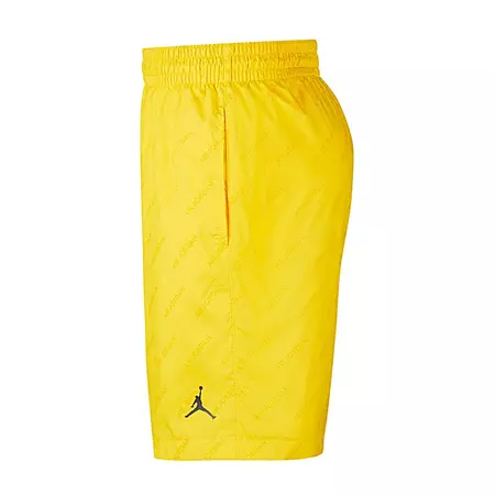 Jordan Legacy AJ4 Shorts