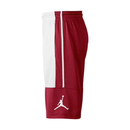 Jordan Rise Solid Shorts (687)