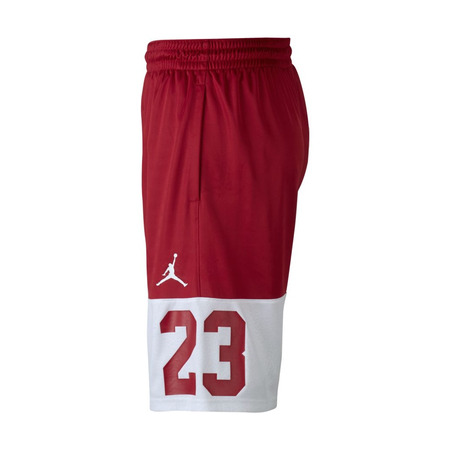 Jordan Rise Twenty-Three Shorts (687)