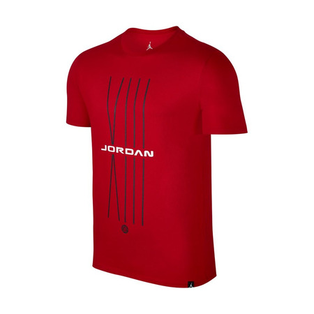 Jordan Sportswear AJ 13 CNXN 1 T-Shirt (687)