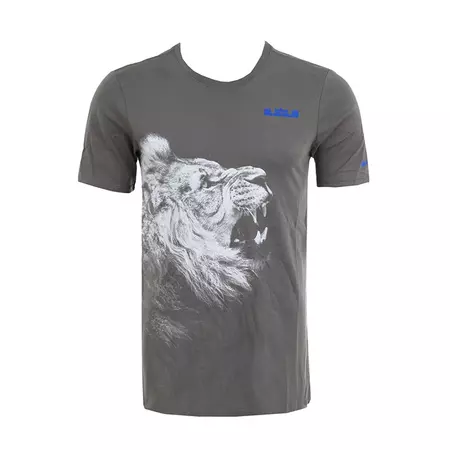 LeBron Camiseta Arch (037/gris/blanco)