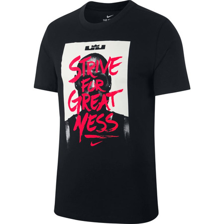LeBron Nike Dri-FIT "Strive For Greatness"