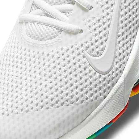 LeBron Witness 4 "Fruity Pebblesl"
