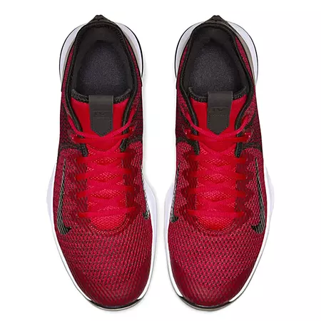 LeBron Witness IV "Bred"