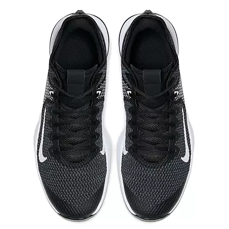 LeBron Witness IV "Shade"