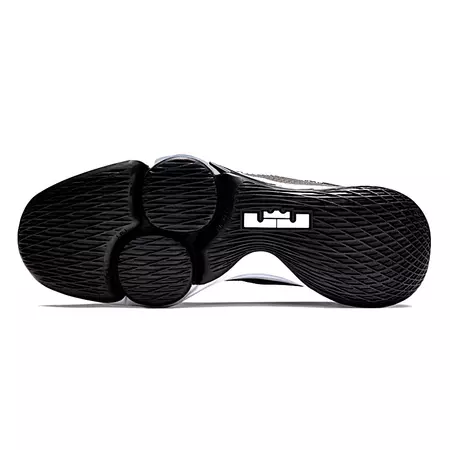 LeBron Witness IV "Shade"