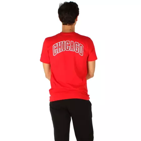 New Era Chicago Bulls FDR Tee