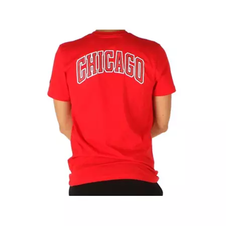 New Era Chicago Bulls FDR Tee