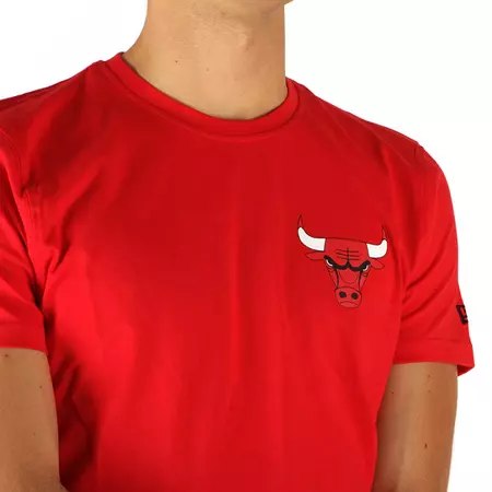 New Era Chicago Bulls FDR Tee