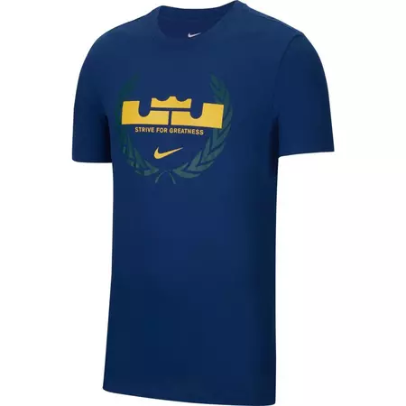 Nike Dri-FIT LeBron Logo Basketball T-Shirt