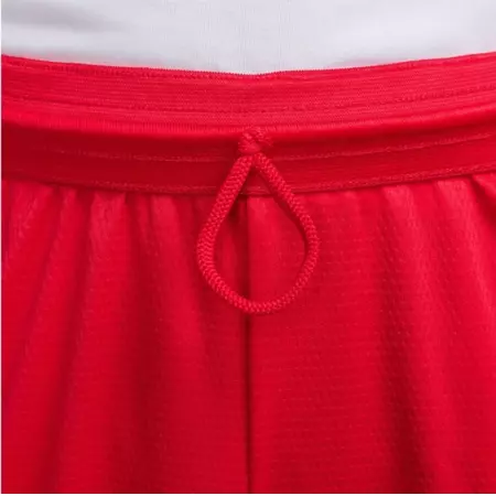 Nike Icon Dri-FIT Basketball Shorts "University Red"