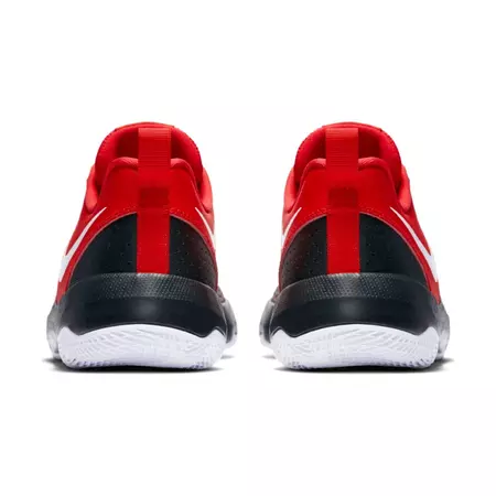 Nike Team Hustle Quick (GS) "Venus" (002)