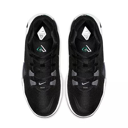 Nike Zoom Freak 1 Antetokounmpo "Black" (GS)