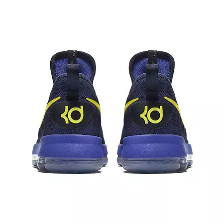 Nike Zoom KD 9 GS "Roar From The Floor" (484)