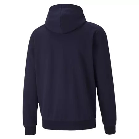 Puma Athletics Fz Hoodie