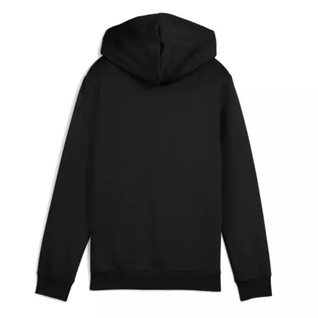 Puma ESS 2 COLOR Logo Hoodie FL "Black-Gold Moon"