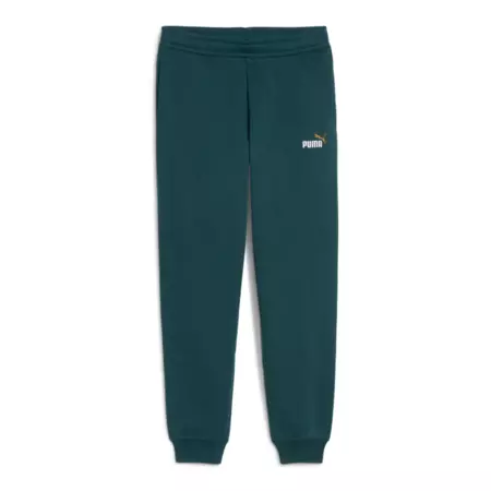 Puma ESS 2 COLOR Logo Sweatpants "Green Terrain"