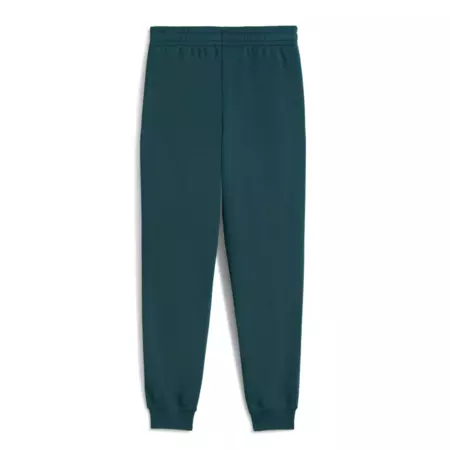 Puma ESS 2 COLOR Logo Sweatpants "Green Terrain"