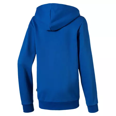 Puma Junior Essentials Logo Hooded Jacket FL