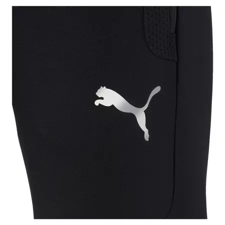 Puma Evostripe Pants