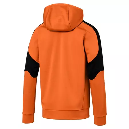 Puma Evostripe Warm FZ Hoody