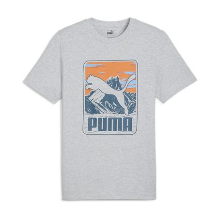 Puma GRAPHICS Mountain Tee "Grey"