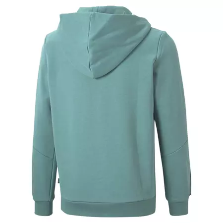 Puma Junior Essentials Tape Full-Zip Hoodie TR "Mineral Blue"
