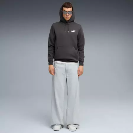 Puma MAXIMAL METALLIC Hoodie FL "Dusky Gray"