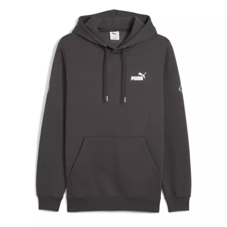 Puma MAXIMAL METALLIC Hoodie FL "Dusky Gray"