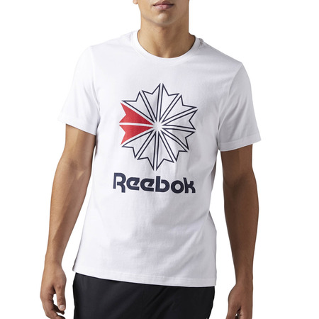 Reebok Franchise Classics Big Logo (white)