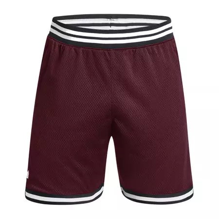 Under Armour Men's Curry Mesh Shorts "Dark Marron"