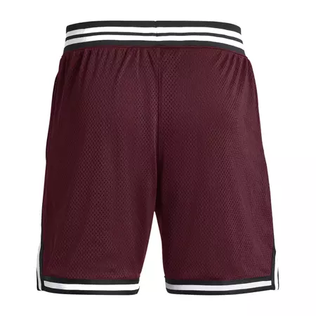 Under Armour Men's Curry Mesh Shorts "Dark Marron"