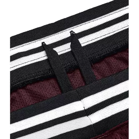 Under Armour Men's Curry Mesh Shorts "Dark Marron"