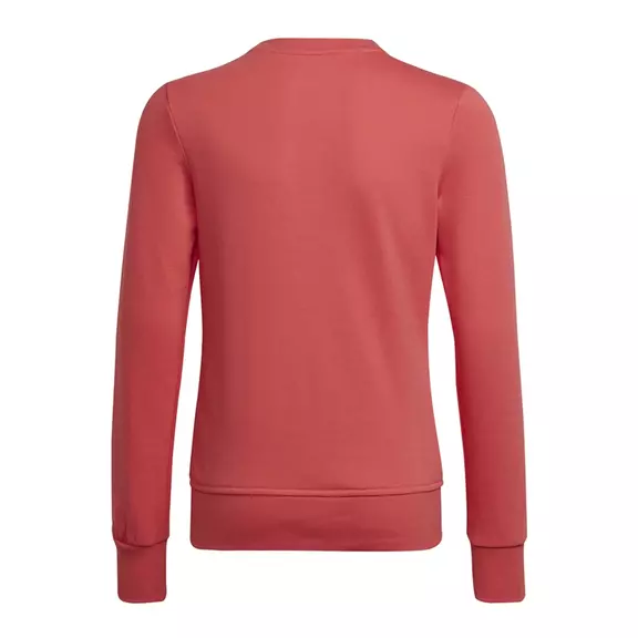 Adidas Kids Essentials Big Logo Sweatshirt