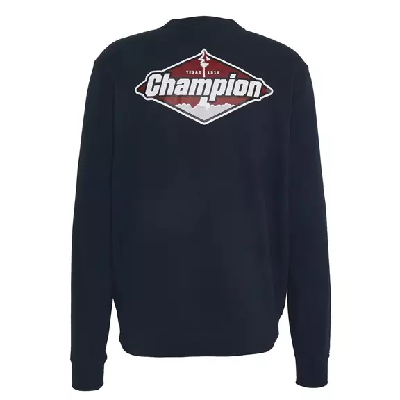Champion Basketball Graphic Crewneck Sweatshirt "Texas"